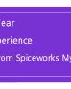 One Year Experience From Spiceworks Myanmar