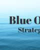 Blue Ocean Strategy Model