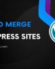 How to merge wordpress sites