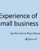 Experience of small business