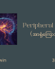 Peripheral Neuropathy   (အာရုံကြောအားနည်းခြင်း)