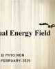 Individual Energy Field